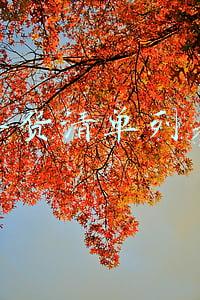 年货清单列表手抄报(寒假“创意作业”受欢迎)