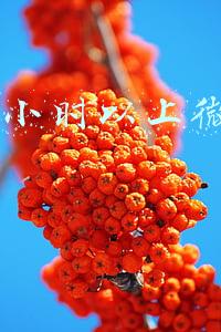 撤回1小时以上微信妙招撤回超时微信消息(微信群信息发错了已超过两分钟的终极解决方案)