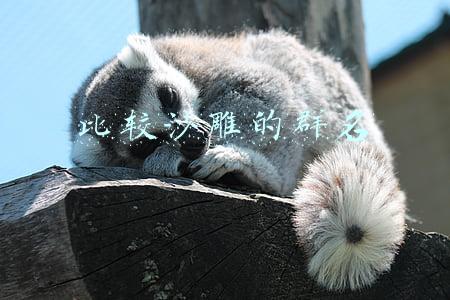 比较沙雕的群名