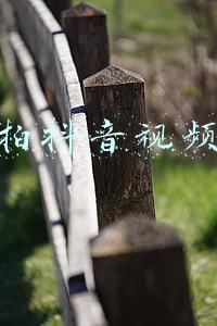 怎么拍抖音视频教程