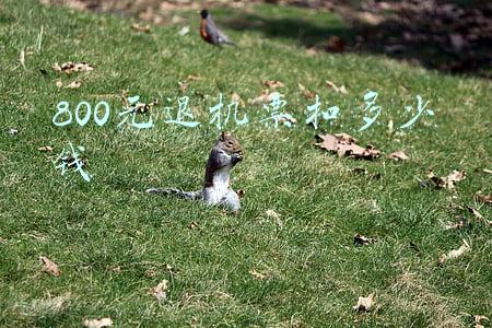 一般退机票扣多少钱(1738元机票提前10天退竟要扣1182元退票费)