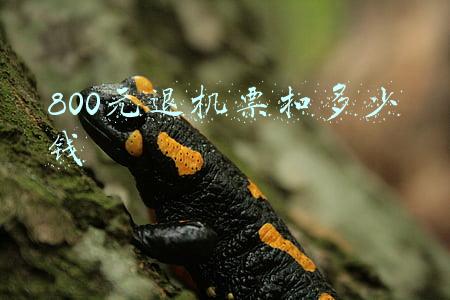 提前退机票要扣多少钱(1738元机票提前10天退，竟要扣1182元退票费？)