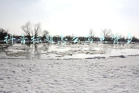抖音标题怎么写点赞多风景(抖音视频的标题怎么写更吸引人？更容易上热门？)