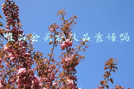 唯品会买护肤品靠谱吗,为什么价格跟旗舰店差这么多(唯品会的护肤品越来越差了)