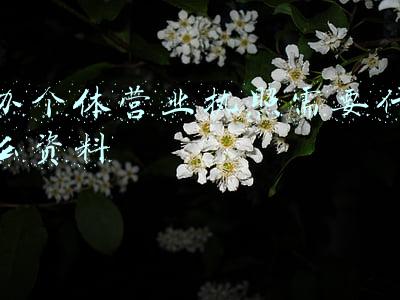 办个体营业执照需要什么资料 办个体营业执照需要什么资料