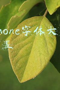 iphone字体大小设置