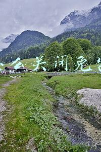 微信怎么关闭免密支付