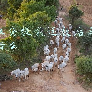 征信不好微粒贷提前还款后马上能借么(别误读了“花呗入征信”)