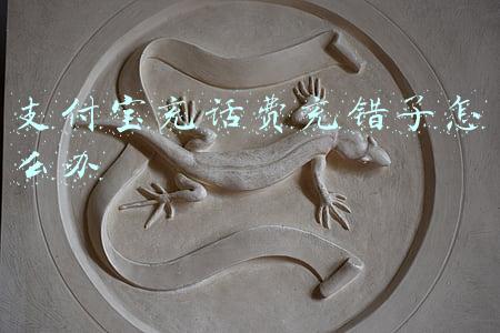 支付宝充话费充错了怎么办怎么联系客服(支付宝上缴错电费怎么办？带身份证和缴费凭证，到营业厅可调账)