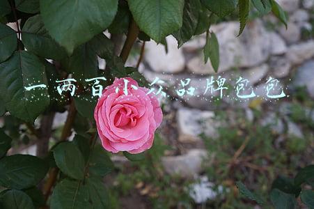 一两百小众品牌包包