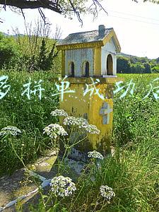 拼多多拼单成功后抽奖