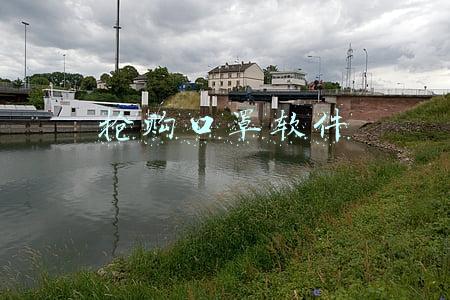 抢购口罩软件 抢购口罩软件