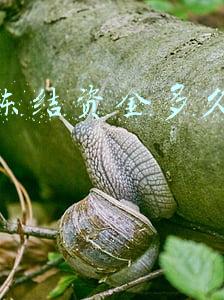 花呗冻结资金多久能恢复 花呗冻结资金多久能恢复
