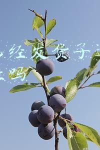 快递已经发货了还可以改地址吗