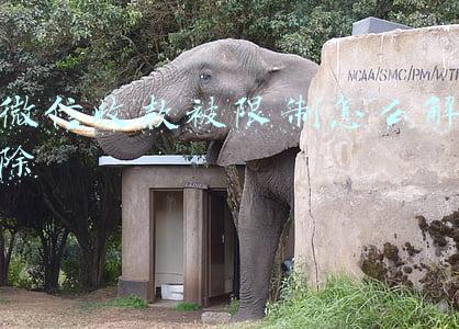 微信收款被限制怎么解除