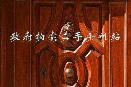 政府拍卖二手车网站