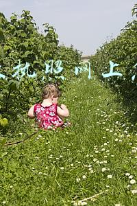 办营业执照网上怎么申请