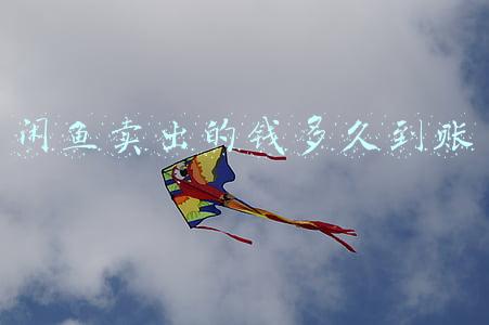 闲鱼卖出的钱多久到账