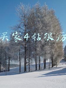 淘宝四钻买家(分享一个淘宝极品买家)