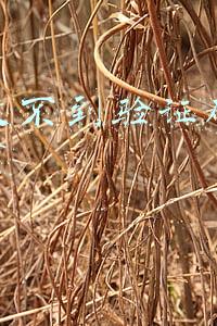 华为手机收不到验证码是怎么回事(华为手机收不到短信的原因是什么，为什么手机无法接收短信？)
