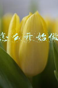 新手怎么开始做电商 新手怎么开始做电商