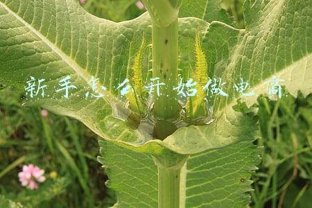 新手怎么开始做电商