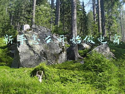 新手怎么开始跑医院(硬核！医生职称晋升指南)