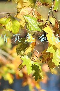 详情页怎么设计