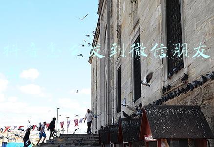 自己制作的抖音怎么发到微信朋友圈(抖音新功能神似朋友圈，用户：抖音逐渐微信化｜欧界)