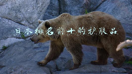 日本排名前十的护肤品