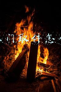 寄快递上门取件怎么操作(如果有卖家账号，拼多多买家也可以直接呼叫快递公司上门取件)