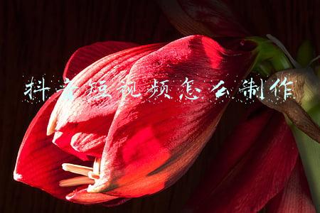 抖音短视频怎么制作