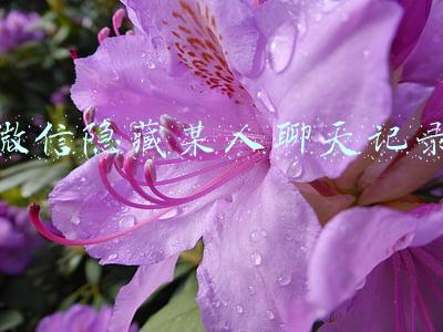 微信隐藏某人聊天记录