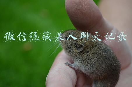 微信隐藏某人聊天记录