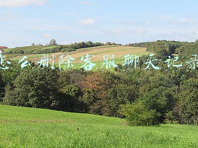 拼多多怎么删除客服聊天记录(拼多多常见问题和解决方法)