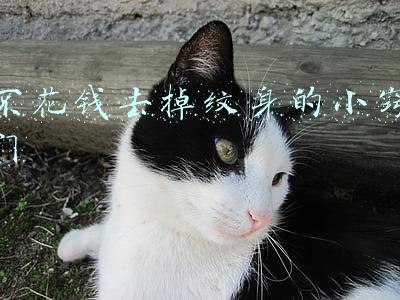 不花钱去掉纹身的小窍门