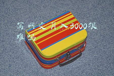 写网文月入3000很难吗
