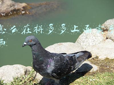 怎么在拼多多上面卖东西