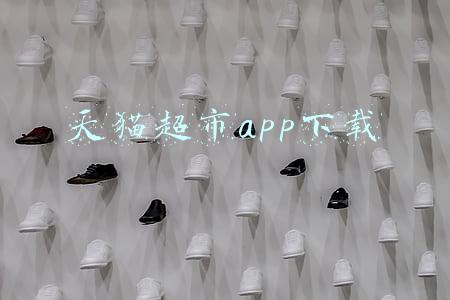 天猫超市app下载