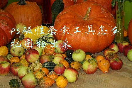 ps磁性套索工具怎么把图抠出来
