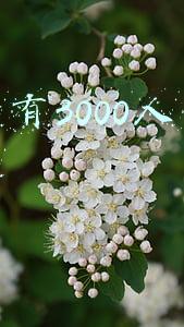 微信有3000人怎么群发