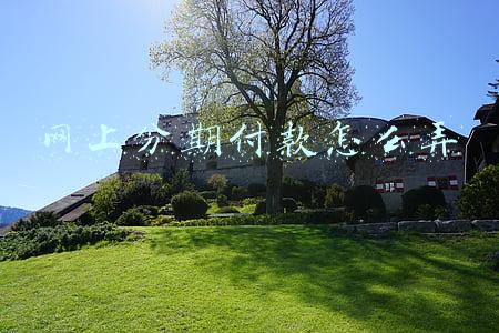 网上分期付款怎么弄