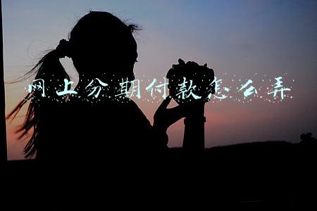 网上分期付款怎么弄