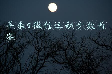 苹果微信运动步数为0的原因(个人收款码近4年数据将被追查并补税？支付宝和微信的回应来了)