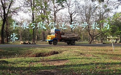 苹果5微信运动步数为零
