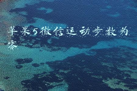 苹果5微信运动步数为零
