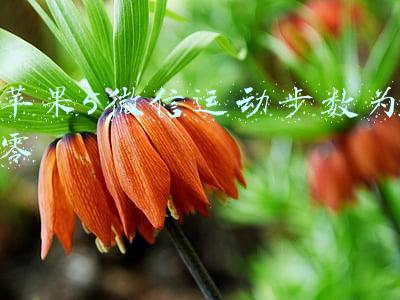 苹果5微信运动步数为零