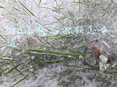 ofo退款后余额怎么退
