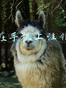 怎么在手机上注销微博