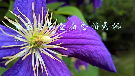 淘宝怎么查看总消费记录